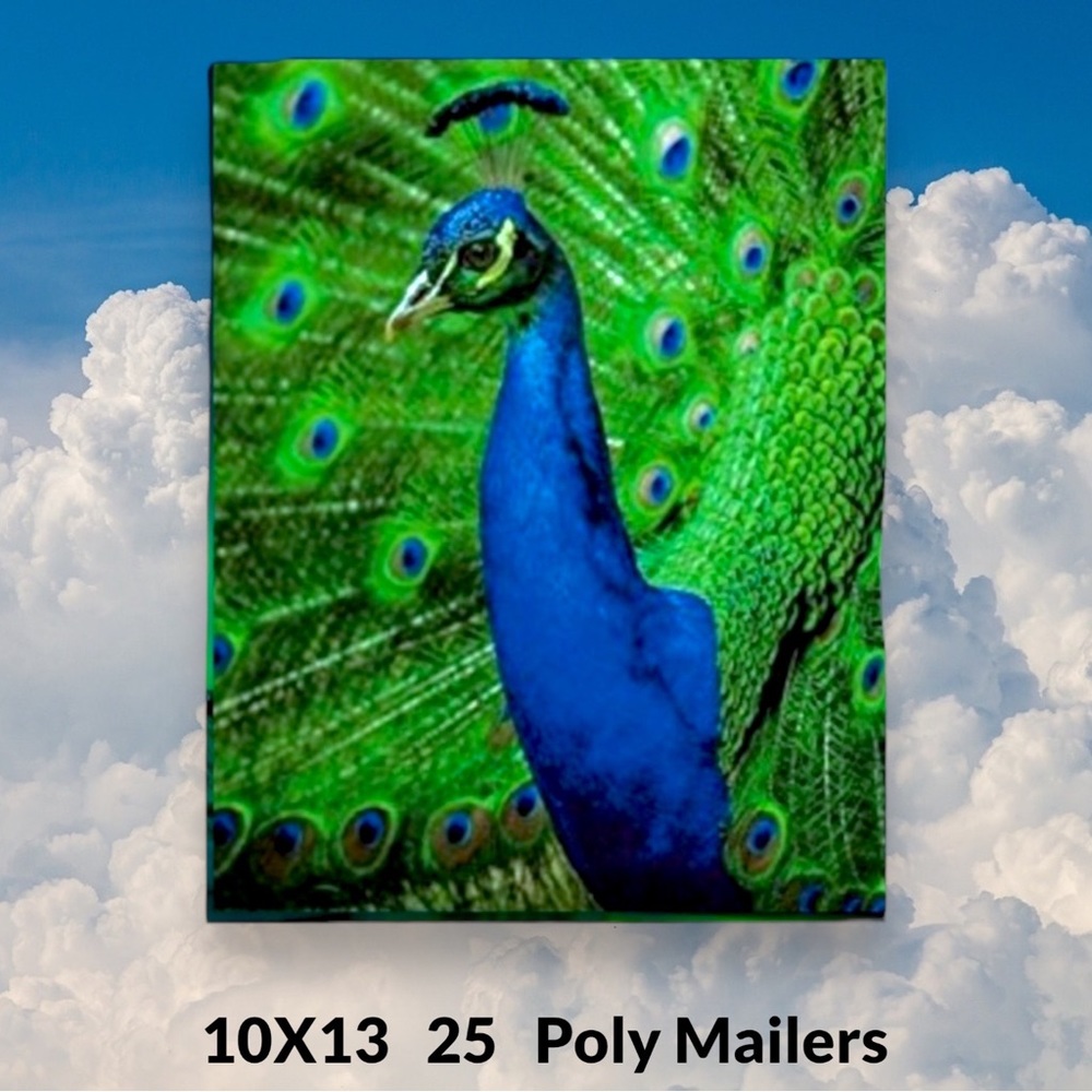 ( Quantity 25 10x13 ) Royal Blue Peacock Poly Mailers Bags Shipping Envelopes